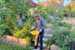 اثر عکس مدرس شمسی عبداللهی از البرز