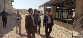 افتتاح دفتر آموزش جهاددانشگاهی در شهرستان قیروکارزین/تأکید بر نقش جهاددانشگاهی در توسعه علمی و حل چالش‌های منطقه‌ای